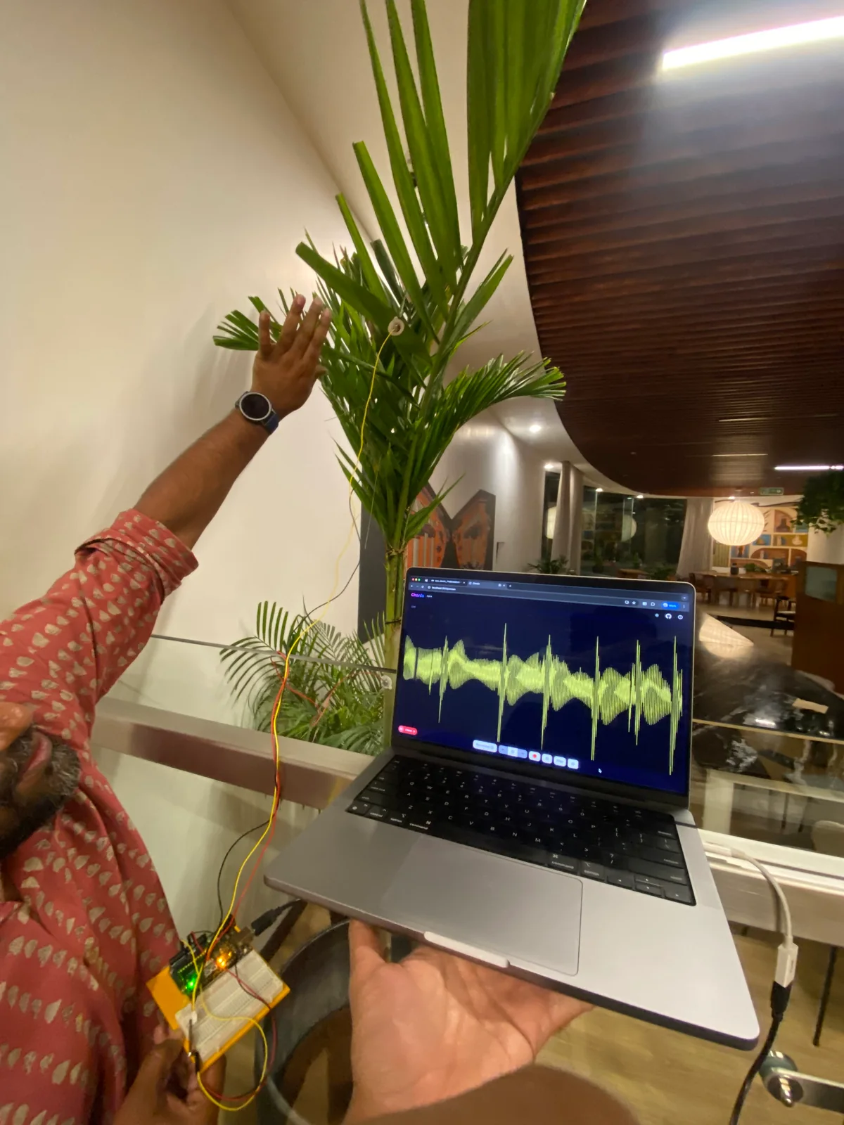 Sensor wires connected to a plant, with electronics and a laptop displaying the signal